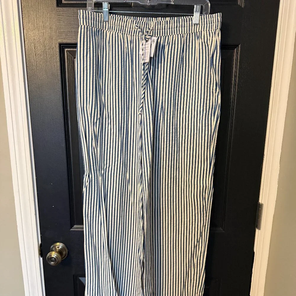 NWT American Eagle Wide Leg Stripe Pants Lightweight Blue White Medium - Picture 1 of 6